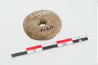 Foto von Beinringperle (NHMW-PRAE-024941)